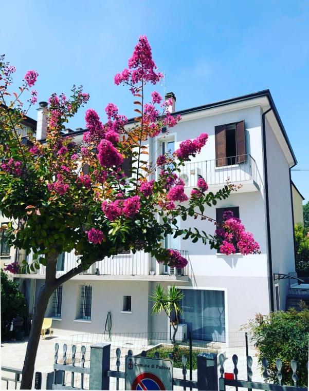 Civico21 Hotel Padova Exterior foto